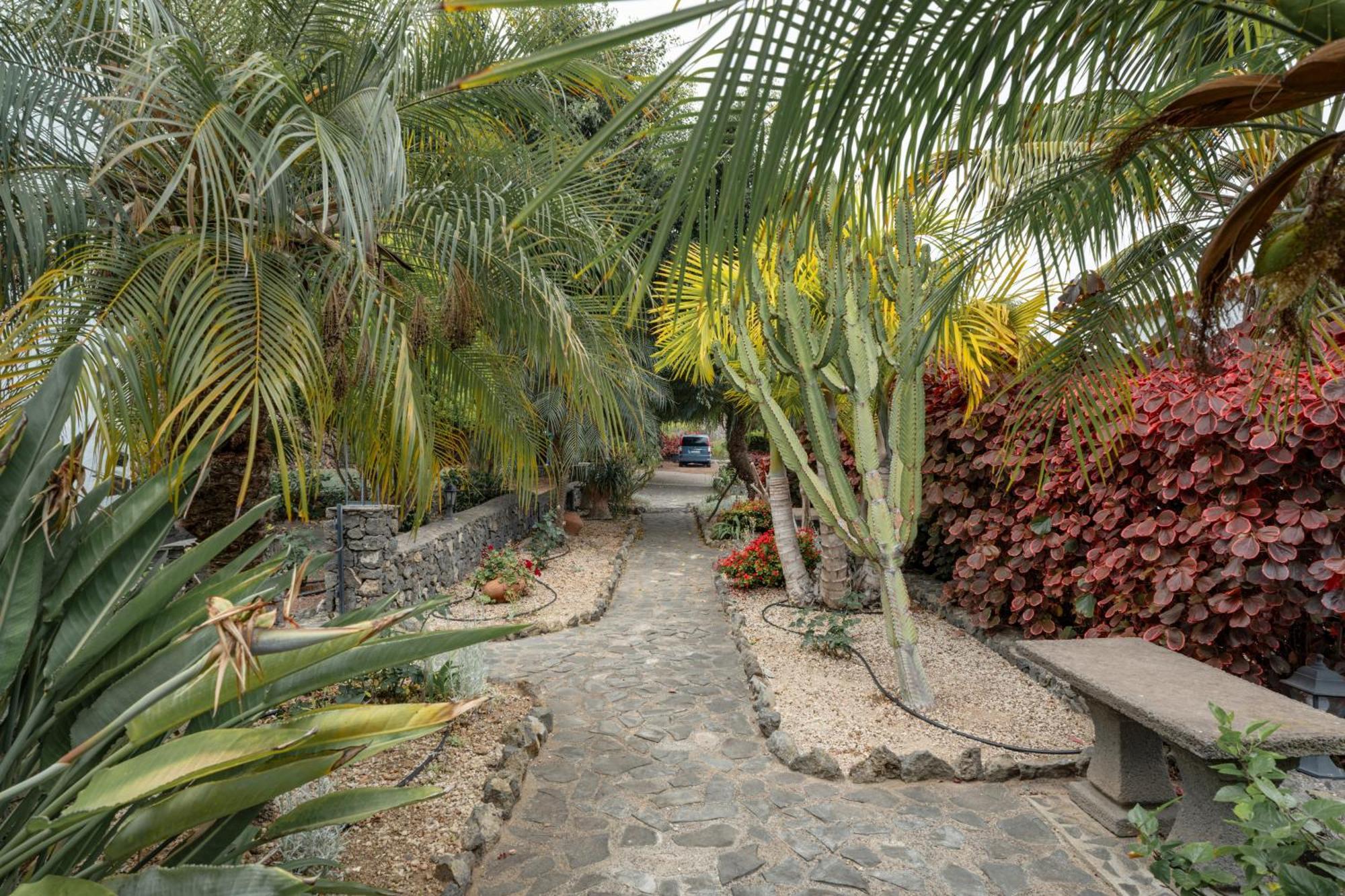 Casa Candelaria Villa La Guancha Kültér fotó